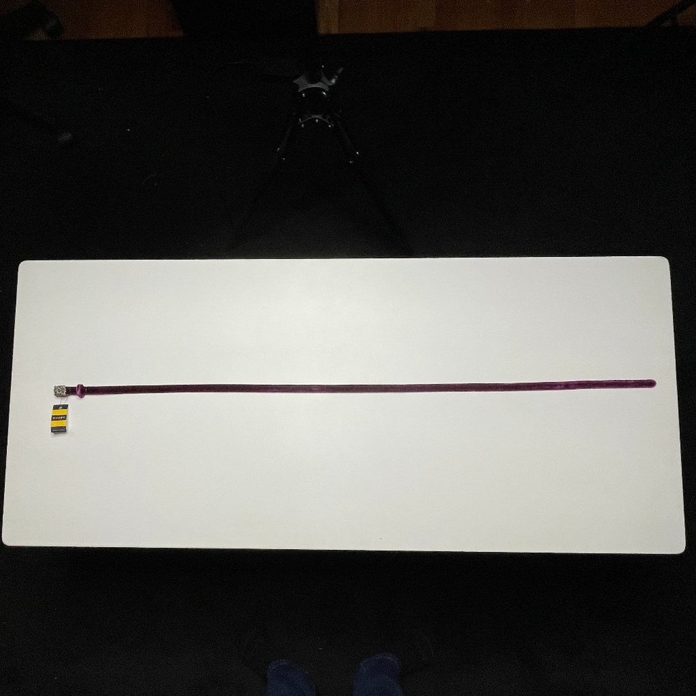NWT_Ralph Lauren Rugby Belt_ Purple Velvet with rhinestone buckle